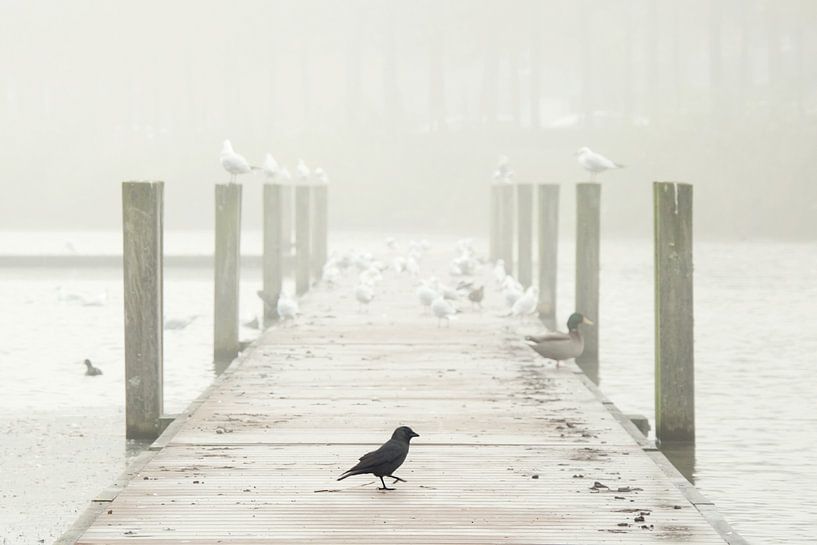 Échafaudages dans le brouillard par Texas van Egmond