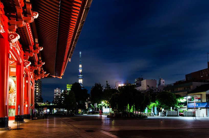 Tempel in Japan van Michael Bollen