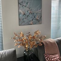 Kundenfoto: Abstraktes Quadrat: Tröpfchen ruhen auf einer Pusteblume von Marjolijn van den Berg, als art frame