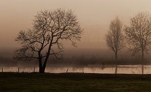 Nebliger Sonnenaufgang, Landschaft