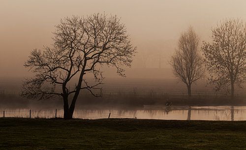 Mistige zonsopkomst, landschap