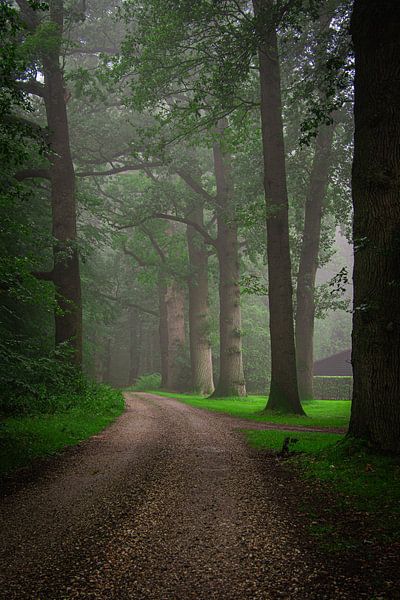 Crown Estate Het Loo in the mist by Samantha Rorijs