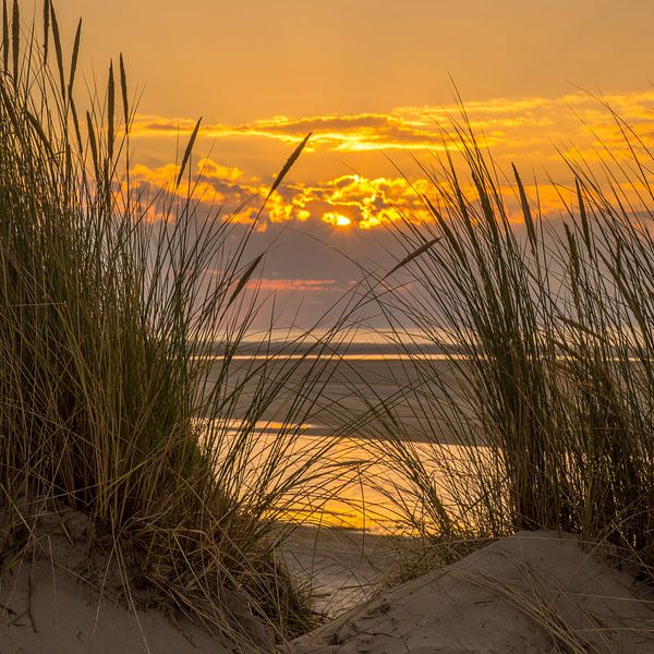 Sonnenuntergang Ameland Ballum von Waterpieper Fotografie