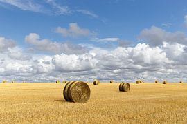 Wijds zomerlandschap met hooibalen van Colico