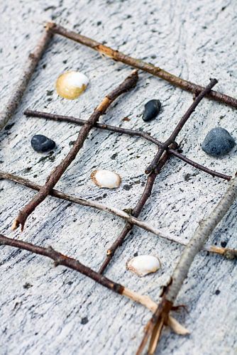 00997969 Boter, kaas en eieren van takjes en schelpjes op het strand