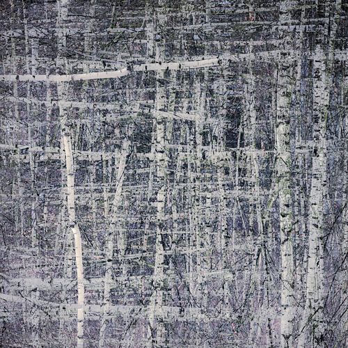 Birke ist ein Meister der Abstraktion