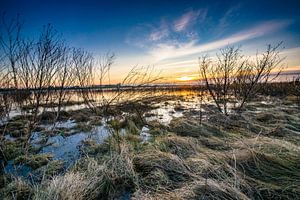 Der Fluss IJssel & Überschwemmungsgebiete von Fotografiecor .nl