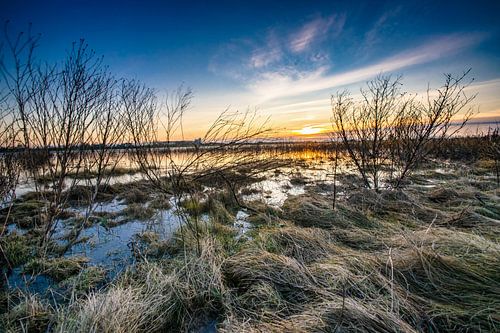 La rivière IJssel & plaines inondables