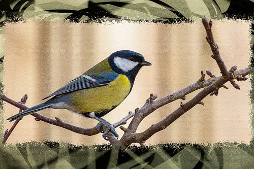 Pimpelmees in de winter op een tak van een boom