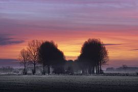 "winter light" by Niek Goossen