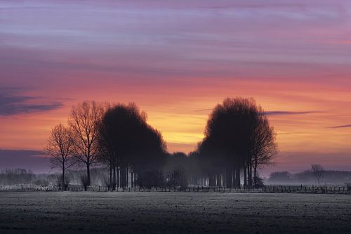 "winterlicht"