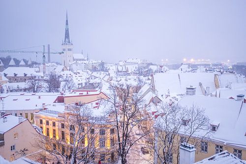 Die Straßen von Tallin 8