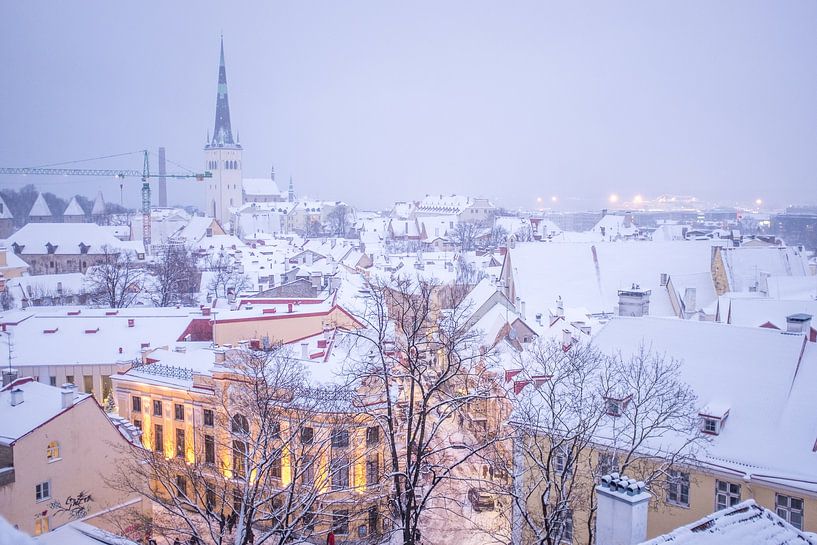 Rues de Tallin 8 par Karl Vandewoestijne