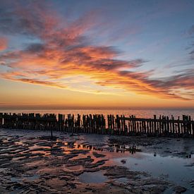 Das Wattenmeer von Mieke Geurts-Korsten