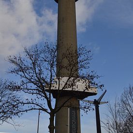 Euromast Rotterdam sur Europhoto Netherlands