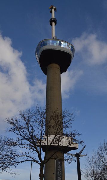 Euromast Rotterdam von Europhoto Netherlands
