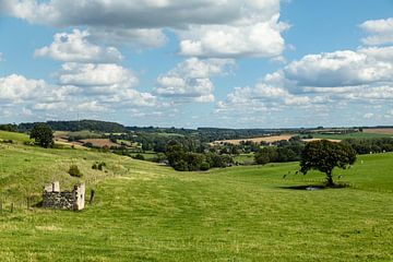 Heuvelland Zuid-Limburg, glooiend lieflijk landschap, vakantieland in Nederland. van Marjolein Zijlstra