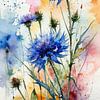 Kornblume Aquarell Floral Art von MIROKKU