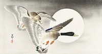 Zwei Enten bei Vollmond, Ohara Koson von Meisterhafte Meister Miniaturansicht