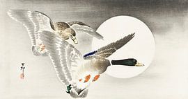 Two ducks at full moon, Ohara Koson