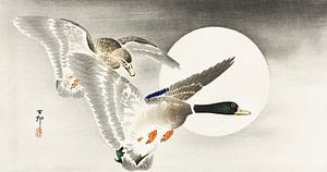 Deux canards à la pleine lune, Ohara Koson