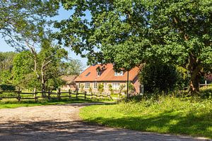 Haus mit Straße und Bäumen auf der Insel Kampenwerder im Schaa