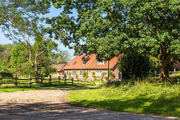 House with road and trees on the island of Kampenwerder in the Schaa