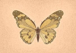 Mozaïek kunst vlinder van Richard Laschon