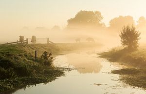 Poldersloot in de mist van Sander van der Werf