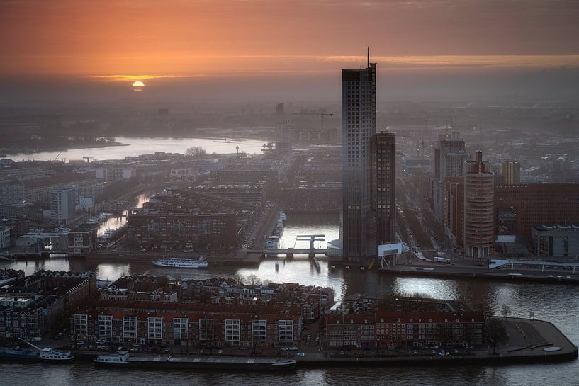 Discover the beauty of Rotterdam by Roy Poots
