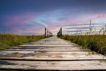 Holzbrücke in den Salzwiesen an der Nordsee im Sonnenuntergang