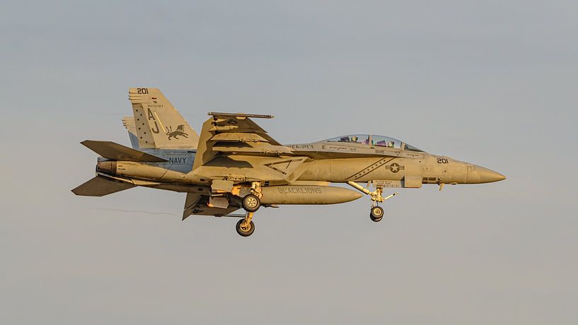 U.S. Navy Boeing F/A-18F Super Hornet from VFA-213 Blacklions. by Jaap van den Berg