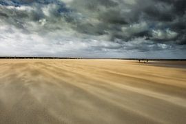 Zandstorm aan de kust by Petra De Wit