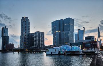 Rotterdam van Eric van Nieuwland