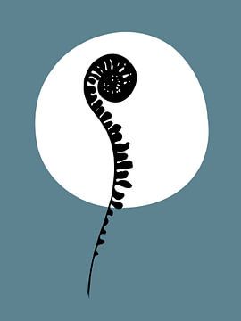 Krauser Farn in der Sonne von Anjo Kan