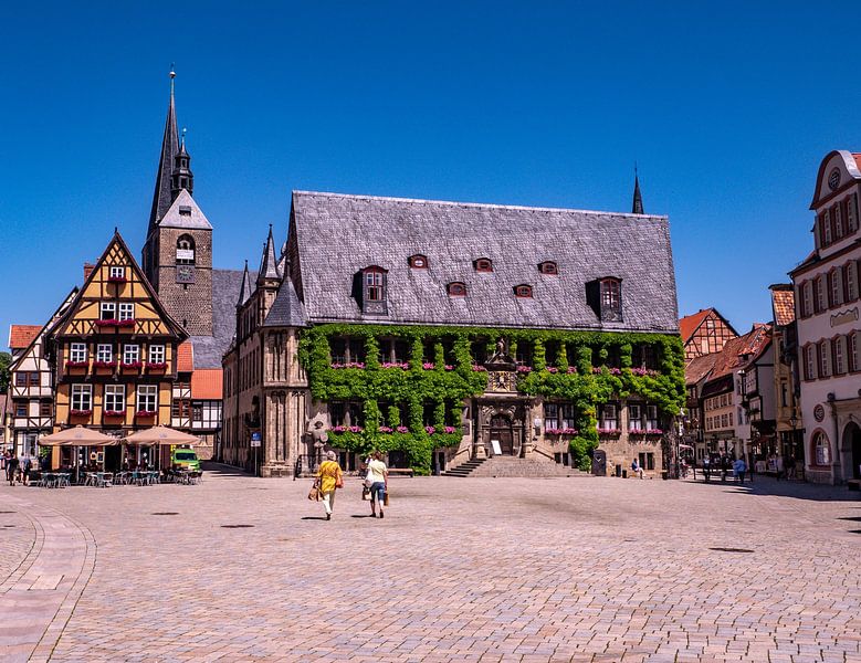 Stadhuis en marktplaats van Quedlinburg in het Harzgebergte van Animaflora PicsStock