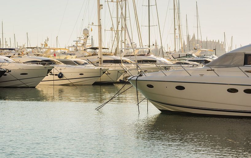 Luxe jachten in de jachthaven van Palma de Majorca, Spanje van Alex Winter