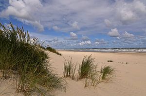 Les dunes d'Ameland