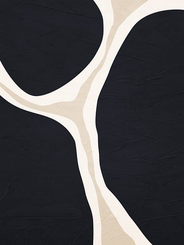 Organische abstracte kunst - zwart-witte tinten