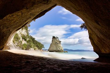 Framed by Nature by Laura Krol