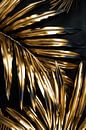 Goldene Palmenblätter von Poster Art Shop Miniaturansicht