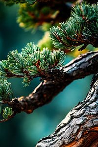 "Nahaufnahme von Bonsai-Nadeln und -Zweigen"