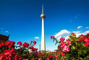 Fernsehturm Berlin mit vielen Rosen