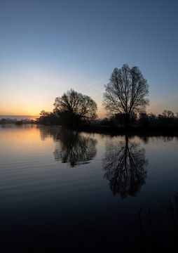 Meinerswijk partie 73 sur Tania Perneel