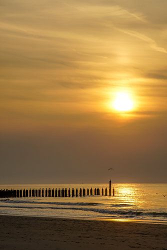 Domburg, Walcheren Zeeland