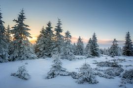 Endlich Winter von Steffen Henze