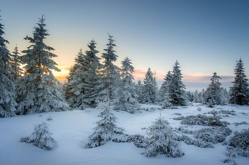 Enfin l'hiver sur Steffen Henze