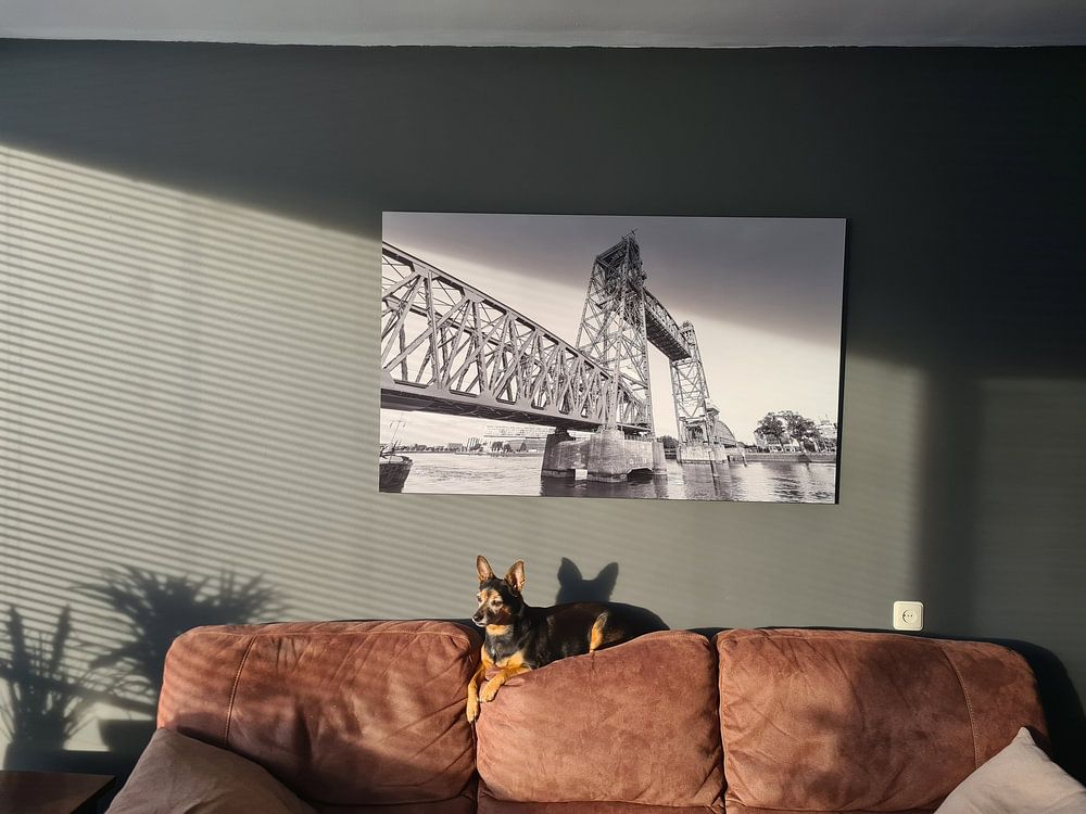Eisenbahnbrücke De Hef in Rotterdam  von MS Fotografie | Marc van der Stelt 