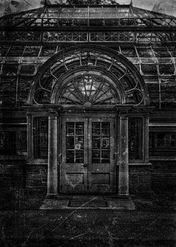 Allan Gardens Conservatory Palmenhaus Nr. 5 Alte Filmversion von The Learning Curve Photography