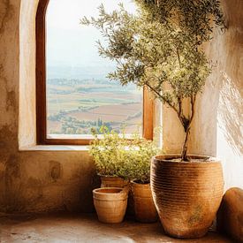 Olive tree by arched window in warm Mediterranean light von But First Framing